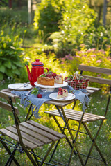 Table setting with summer strawberry cake in a garden