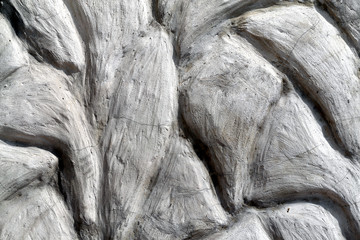 Photo of a funny fluffy little rabbit