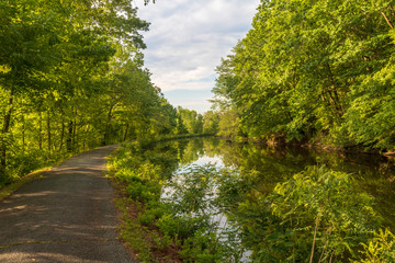 Fototapeta na wymiar Path alongside the canal in summer
