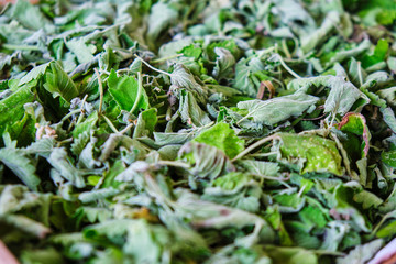Lemon balm (Melissa officinalis) leaves for tea drying out. Concept for home made, bio tea, healthy...
