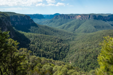 Naklejka premium Blue Mountains of NSW from Govetts Leap, Blackheath, Australia