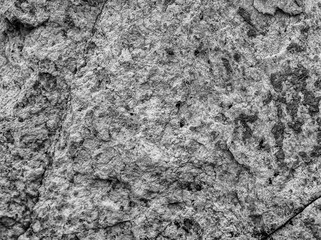 black-and-white background of a gray ancient wall , texture of an old rough stone