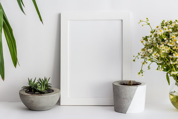 White wooden photo frame with cactus in a pot and daisies