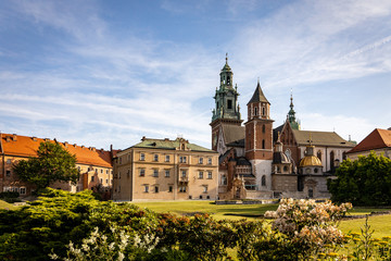 Fototapeta na wymiar wawel castle in krakow poland