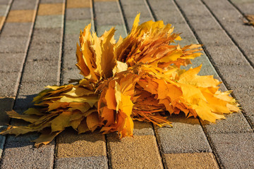 Bunch of autumn maple leaves lying on the paving close up. Autumn concept