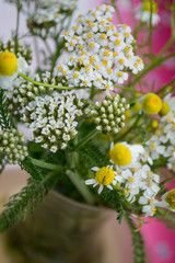 Schafgarbe und Kamille © claudettethebat