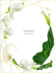White orchids. Tropical flowers. Callas. Floral background. Exotic plants. Buds. Petals. Frame. Border.