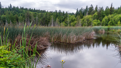 View at Mountain Lake with Dramatic Clouds in British Columbia, Canada
