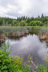 View at Mountain Lake with Dramatic Clouds in British Columbia, Canada
