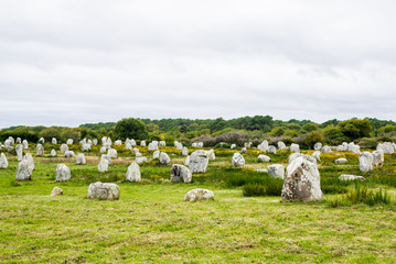 Ancient menhir granite stones in a deciduous oak forest in Carnac, France