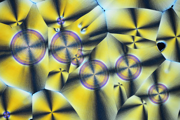 Colorful micro crystals in polarized light. Photo through a microscope.