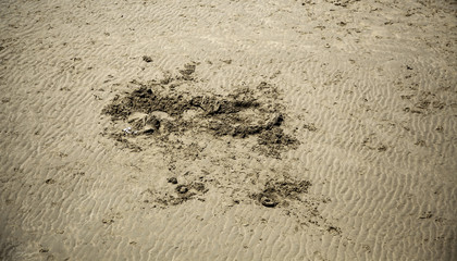 Paradise beach summer