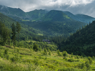 Beautiful mountain valley with mountain hut Ziarska Chata, wooden cottage, spruce trees, dwarf scrub pine and bald mountain peaks. Western Tatras mountains, Rohace Slovakia, summer, blue sky © Kristyna