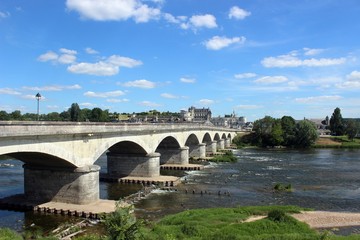 Obraz premium Amboise and the River Loire.