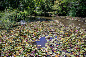 Looking Upstream