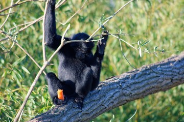 Pictures of animals from the Zoo