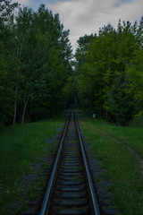 Fototapeta premium railway in the forest