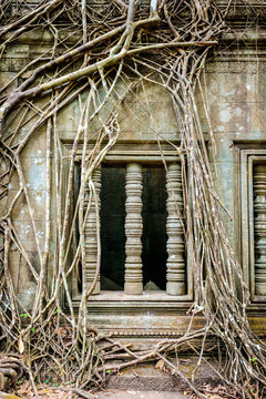 Prasat Beng Mealea temple ruins, Siem Reap Province, Cambodia