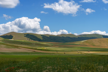 Castelluccio di Norcia, in Umbria, Italy. Fields and hills, sunny day. Green agricultural rural landscape. With bales of hay and poppie in foreground.