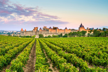 Medieval citadel of La Cit? at sunrise, Carcassonne, Aude Department, Languedoc-Roussillon, France.