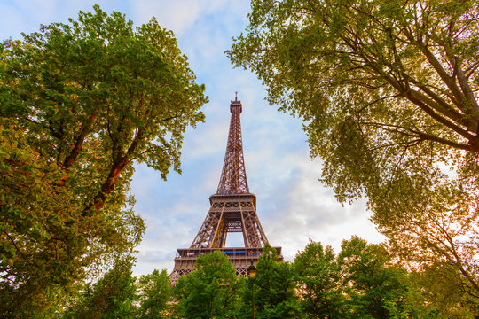 France, Paris, Eiffel Tower framed by trees