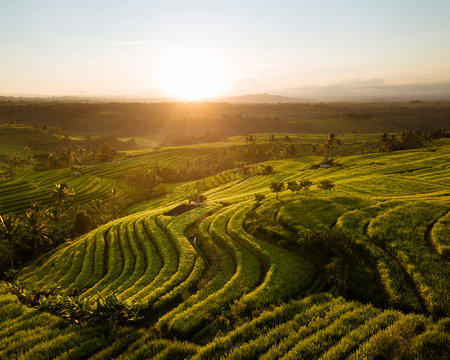 Aerial View of Jatiluwih Rice Terraces, Tabanan, Bali, Indonesia