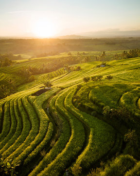 Aerial View of Jatiluwih Rice Terraces, Tabanan, Bali, Indonesia