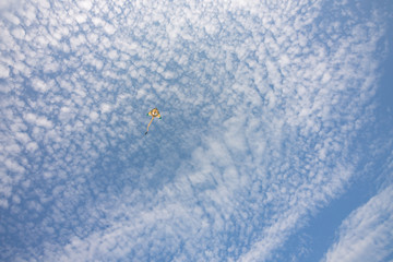 Kite on the sky
