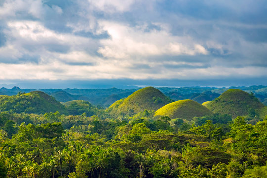 Chocolate Hills in late afternoon, Carmen, Bohol, Central Visayas, Philippines