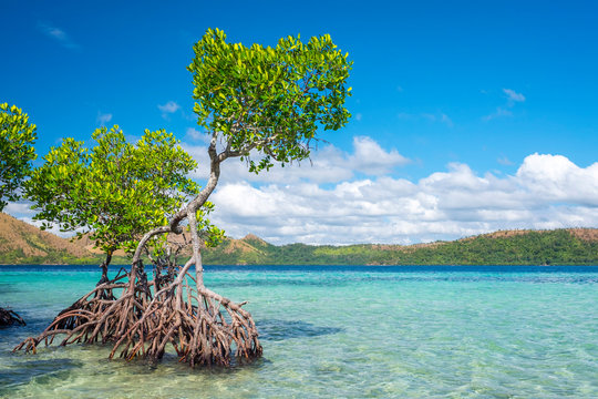 CYC Island, Coron, Palawan, Philippines