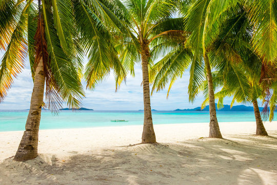 Palm Trees And Blue Water On The White Sand Beach Of Malcapuya Island, Culion, Palawan, Philippines