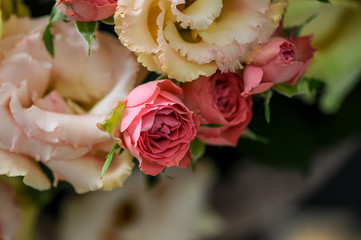 bouquet of flowers macro