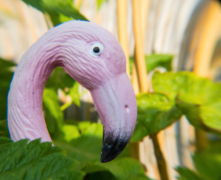 Pink flamingo in a garden