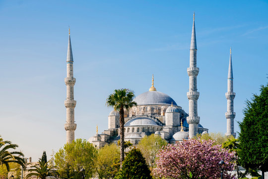 Blue Mosque in spring, Istanbul, Turkey
