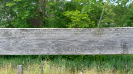 Holzzaun vor grünen Büschen