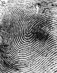 Fingerprint on white paper, as background.
