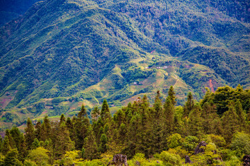 Rice paddies in the mountains near Sapa village, Northern Vietnam