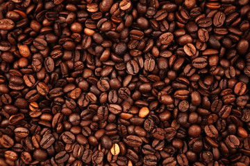 Coffee beans close-up