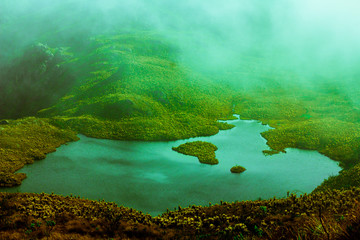 tropical island in thailand