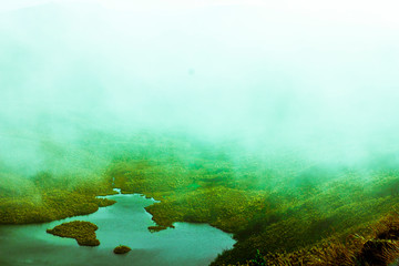 green grass and fog