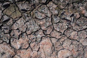 Dry ground cracked crust texture