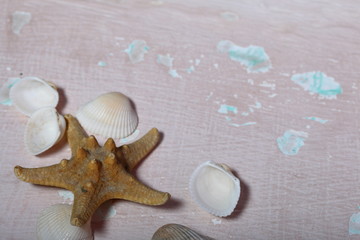 Fototapeta na wymiar Starfish and shells. Lie on the surface with a shabby paint.