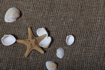 Starfish and shells. They lie on a rough linen fabric.