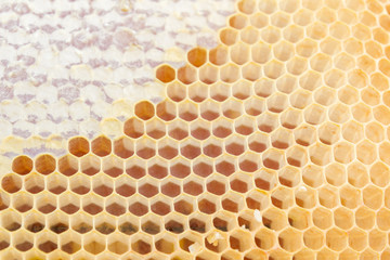 The yellow honeycombs from wax to honey to the bee houses