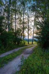 Dirt forest road in the backlight of the setting sun.