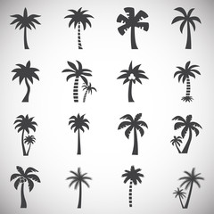 Fototapeta na wymiar Palm tree related icon set on background for graphic and web design. Simple illustration. Internet concept symbol for website button or mobile app.