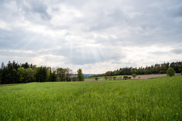 Blick über Wiese ins Tal mit Windrädern und Sonnenstrahlen