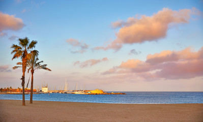 Barcelona, Spain. Barceloneta beach. Colorful evening sunset Sky with clouds. Picturesque panorama landscape with palm trees.