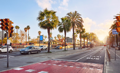 Barcelona, Spain. Road avenue near Barceloneta beach. Beautiful sunset Through palm Trees and...