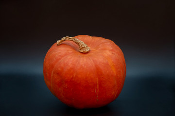 Pumpkin on black background. Autumn harvest.